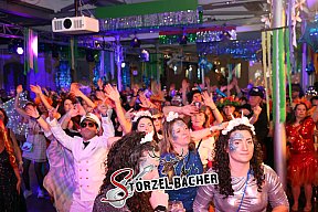 Bamberg Rosenmontagsball