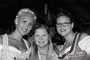 Volksfestparty Treuchtlingen