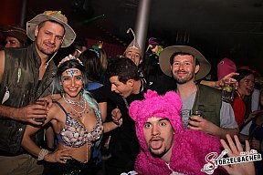  Rosenmontagsball Bamberg