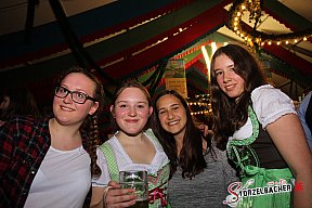 Fr&uuml;hlingsfest Dillingen