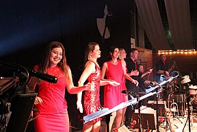 Freystadt Schwarz-Weissball