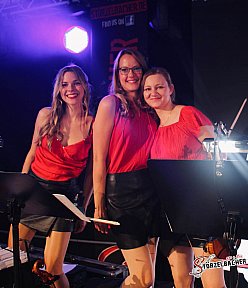 Sch&uuml;tzenfest Harburg