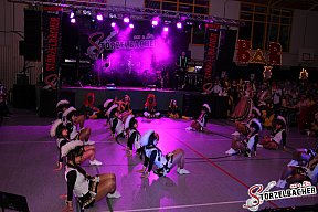 Faschingsball in Horgau