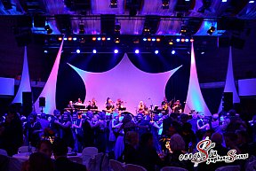 Kr&ouml;nungsball der Narrwalla Ingolstadt