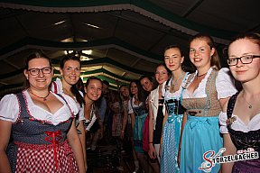 Sch&uuml;tzenfest in Meinheim
