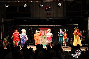 Faschingsball in Pleinfeld