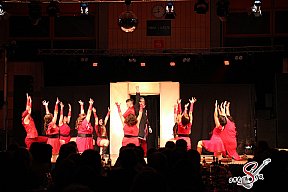 Faschingsball in Pleinfeld