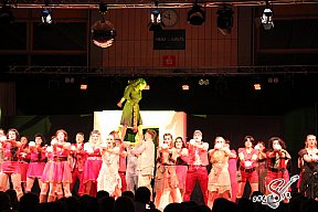 Faschingsball in Pleinfeld