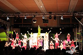 Faschingsball in Pleinfeld