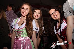 Sch&uuml;tzenfest Pleinfeld